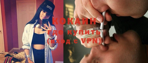 крисы Алзамай