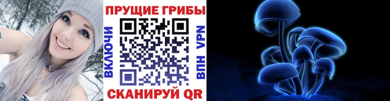 где купить наркотик  Клин  Псилоцибиновые грибы мухоморы 