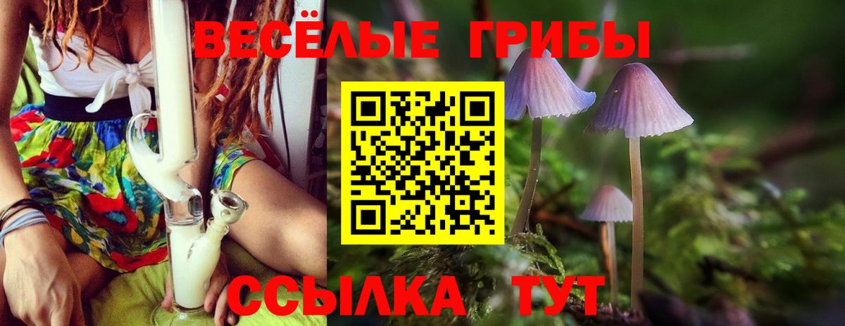Галлюциногенные грибы мицелий  Вход с VPN  Клин 